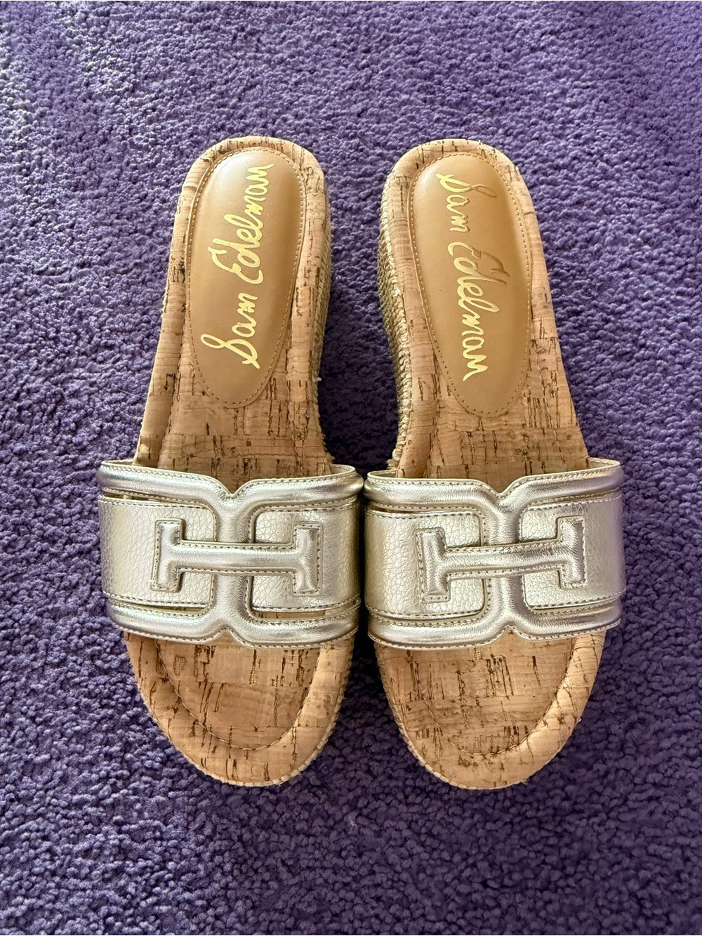 Sam Edelman Pauleena Platform Wedge Slide Sandal